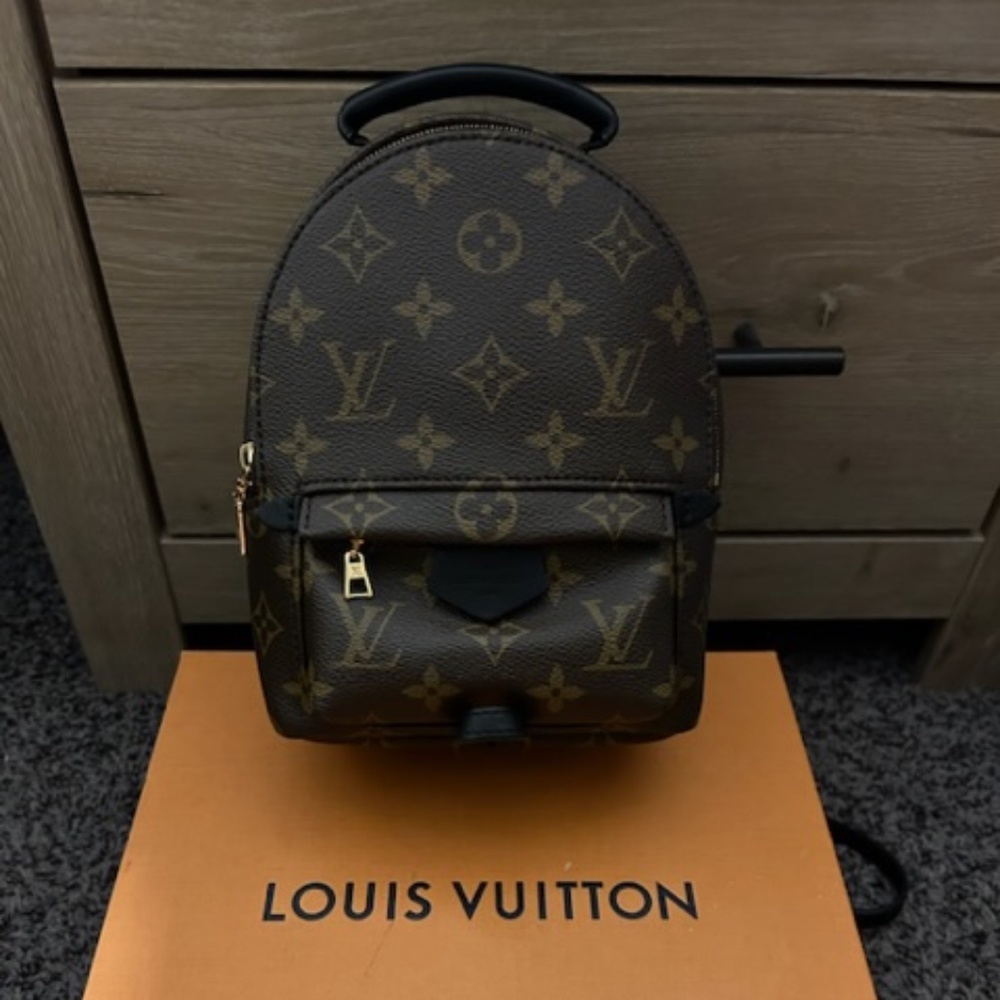 Louis Vuitton Palm Springs Mini